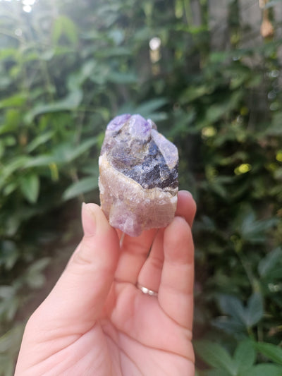 Dream Amethyst Medium