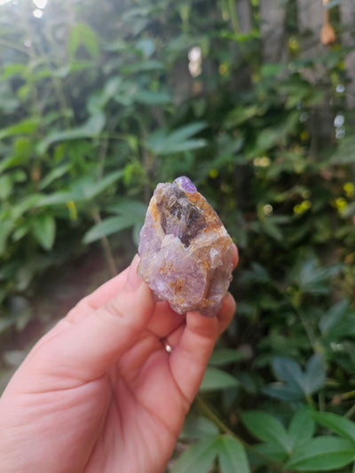 Dream Amethyst Medium