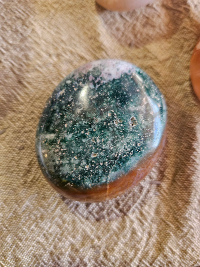 Ocean Jasper Palm
