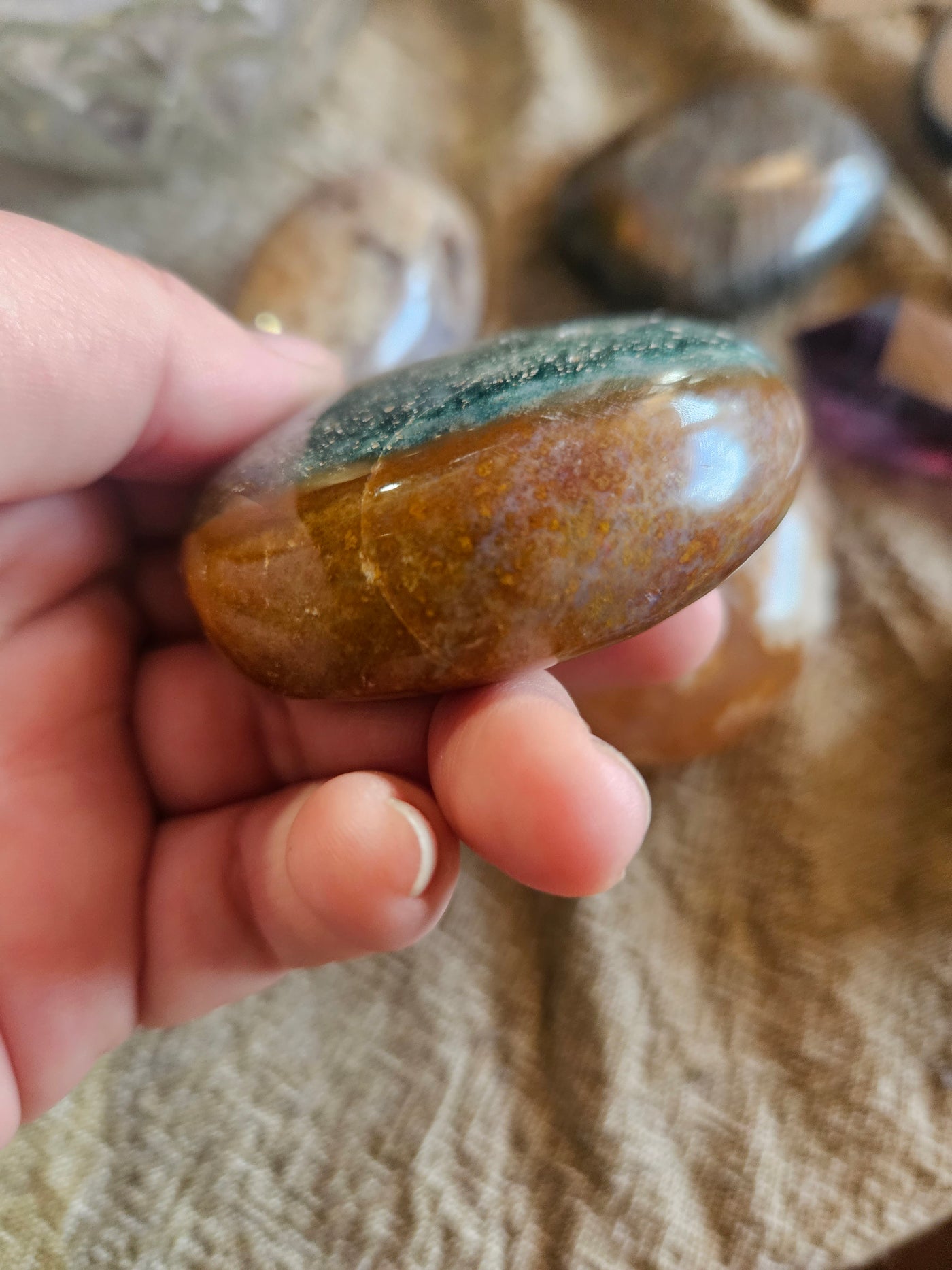 Ocean Jasper Palm