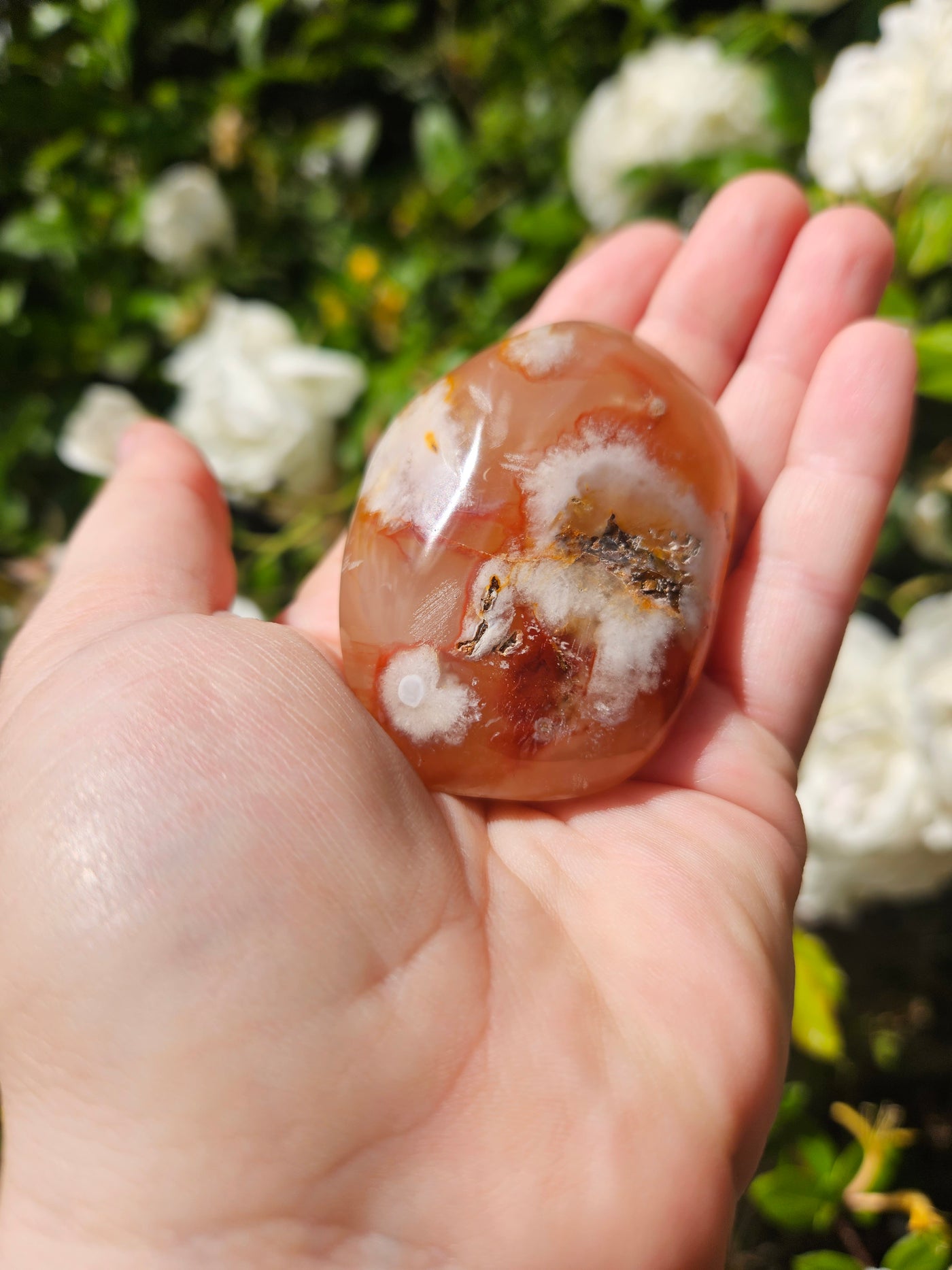 Flower Agate Palm #2