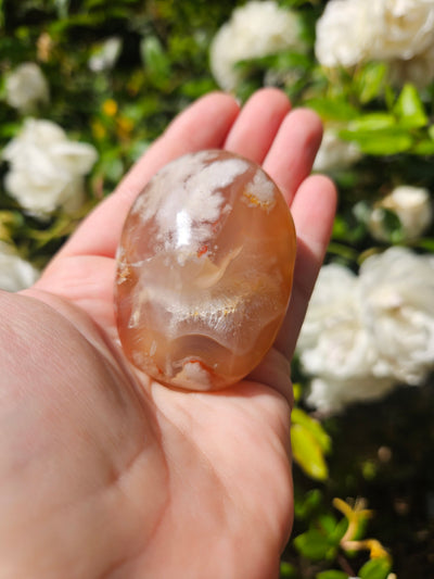 Flower Agate Palm #2