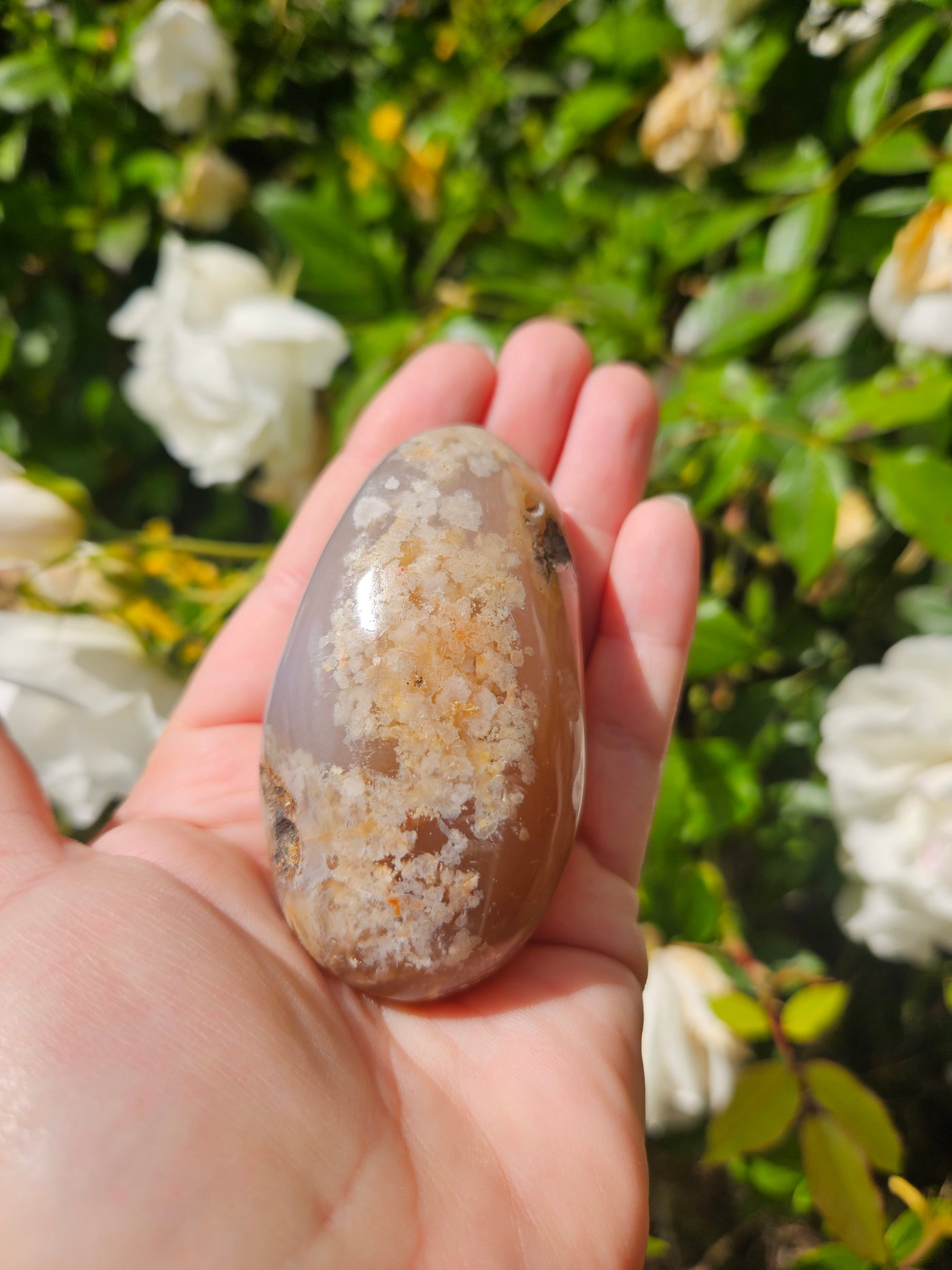 Flower Agate Palm #1