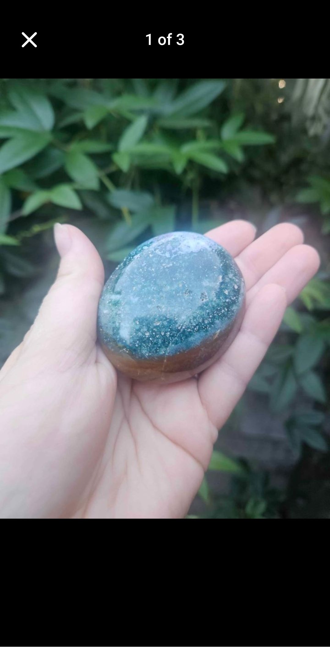 Ocean Jasper Palm