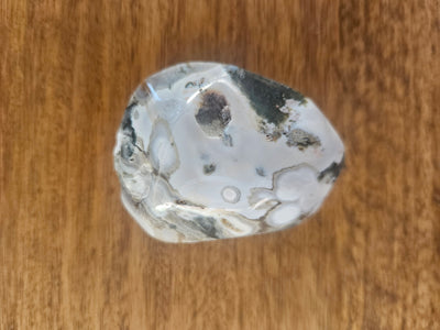 Orbicular Jasper palmstone