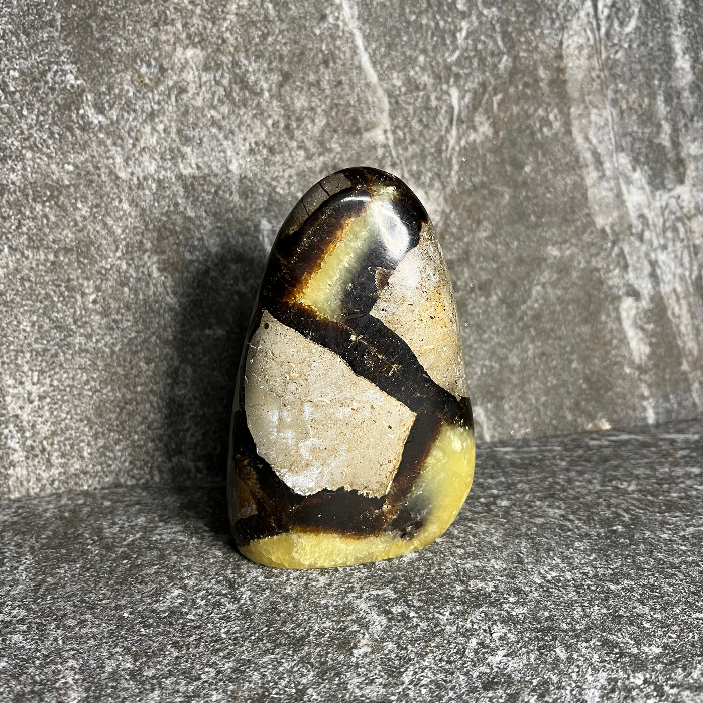 Septarian Freeform #1
