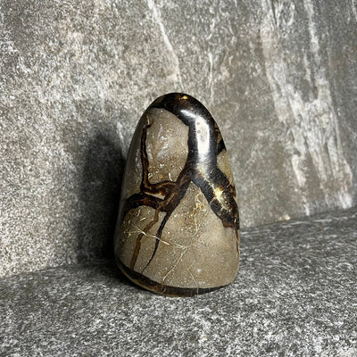 Septarian Freeform #1