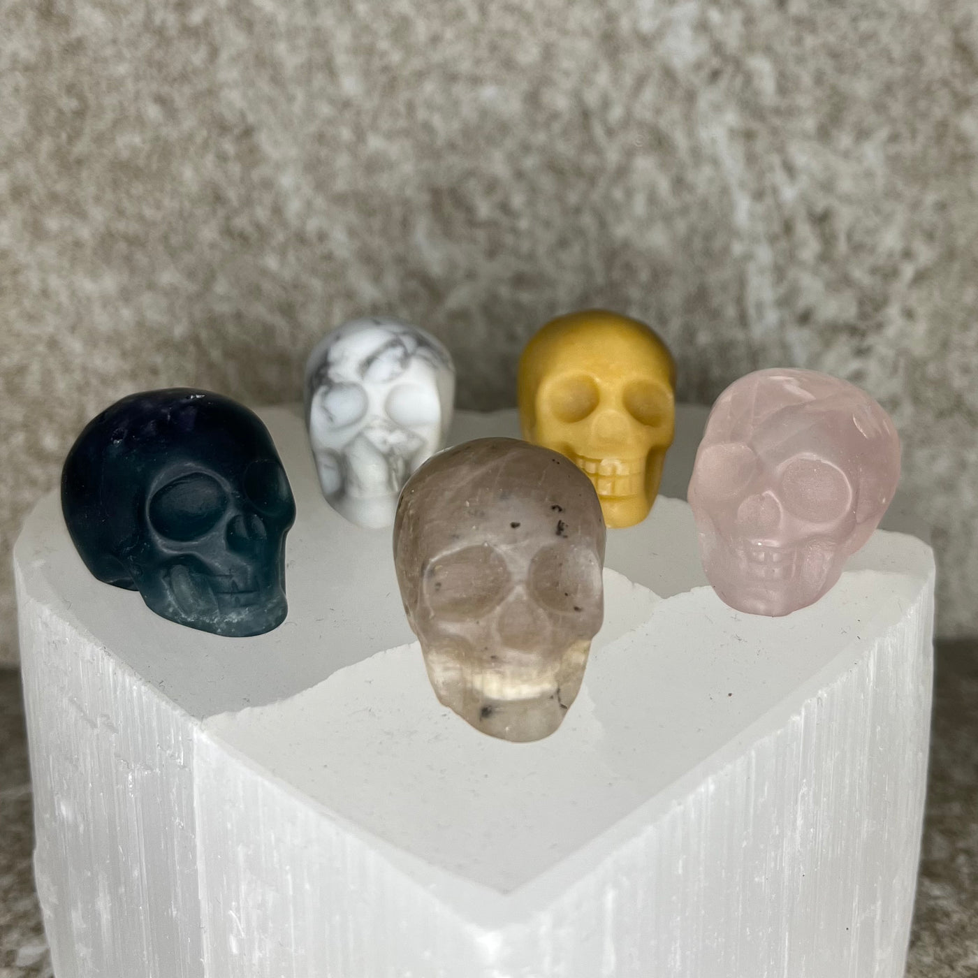 Chrysalis' Choice Mini Skull
