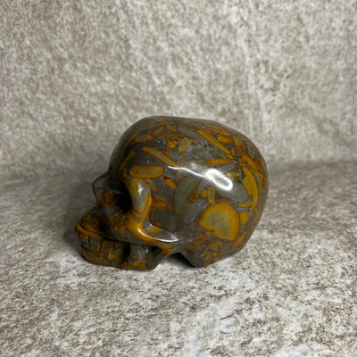 Bamboo Jasper Skull #2