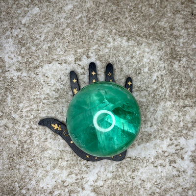Black Lotus Hand Sphere Stand
